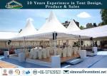 Waterproof cover canopy pagoda party tent with transparent PVC window for luxury