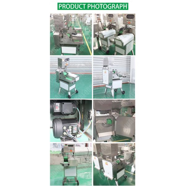 Hot Selling Loofah Celery Leafy Vegetable Cutting Machine With Low Price