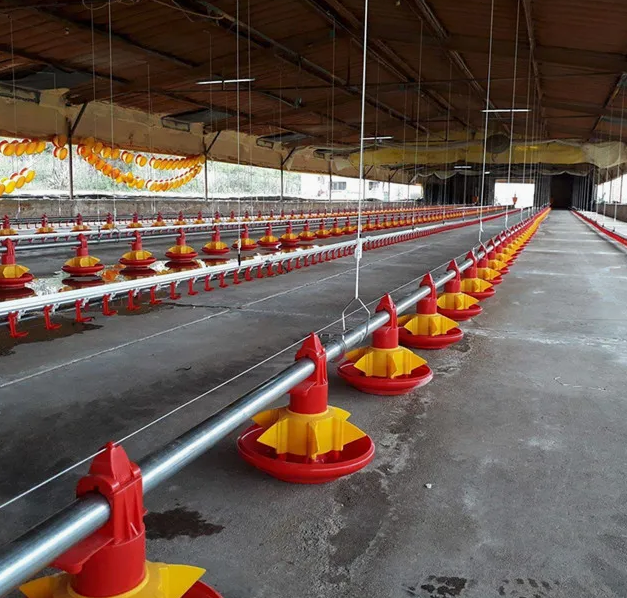 Durable High-Strength Plastic Slat Flooring with Corrosion-Resistant and Anti-Slip Surface for Chicken Coop
