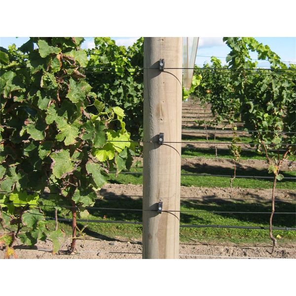 Crop Support Greenhouse Polyester Wire Irrigation Lines Bird Netting Installing