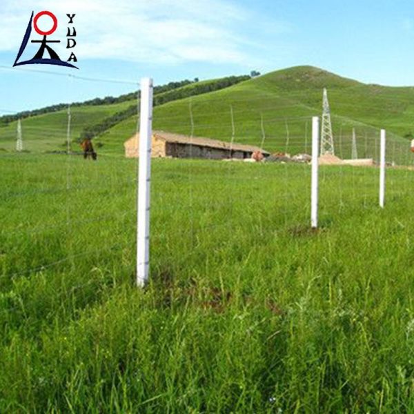 Hot Dip Galvanized Field Fence for Grassland and Sheep