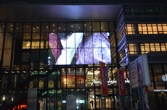 Indoor P3.9-7.8 SMD Transparent Led Display Full Color Led Glass Video Wall For Showcase