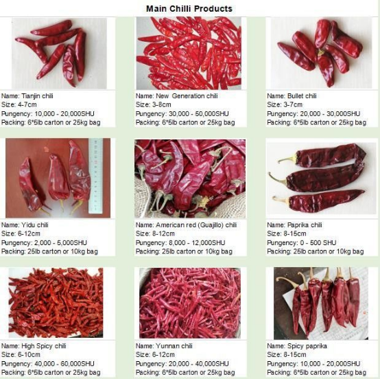 Whole Chilli Pods Tangy Flavor Chinese Spicy Chilli Sauce with Strong Aroma