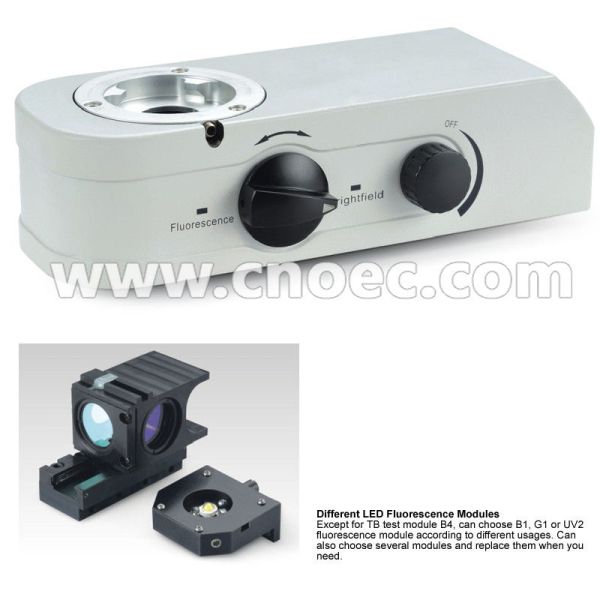 Infinity Plan LED Fluorescence Microscope 100X - 1000X A16.0907-BL