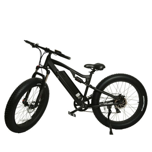 30-50Km/h Max Speed 7 Speed Fat Tyre Mountain Electric Bike with 3 Hours Charging Time
