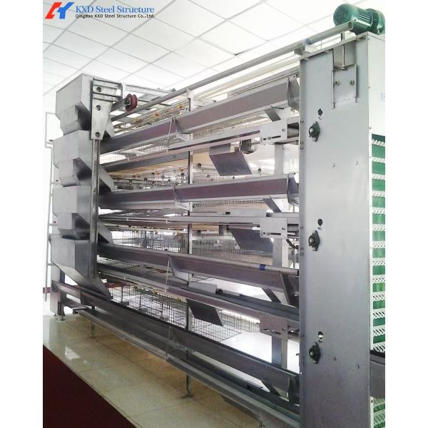 Custom H Type Broiler Rearing Cage , Full Automatic Broiler Cage System