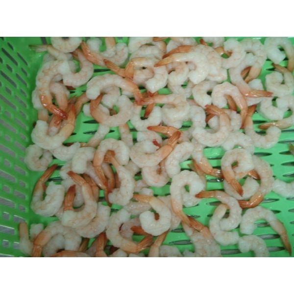 Hoso Headless Safety Frozen Raw Shrimp Without Additives / Preservation