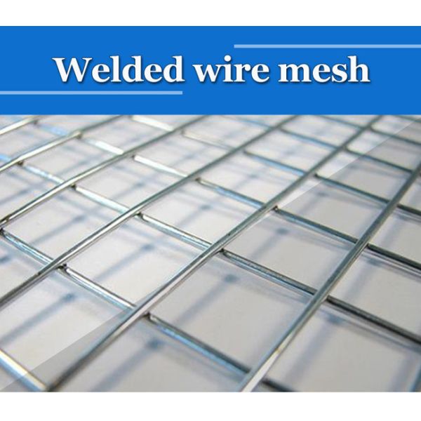 50×50×2.5mm Metal Cage Powder Coated Wire Mesh Panels 2.2m Galvanized Steel
