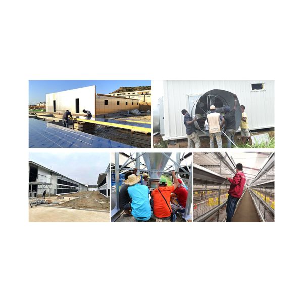 poultry farm building Poultry farm Henhouse turnkey solution