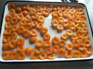 Buy cheap Wholesale Canned Fresh Fruit Apricot Halves In Light Syrup product