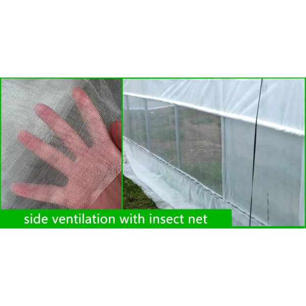Hot Dip Galvanized Steel Tube Frame Multi Span Agricultural Greenhouse