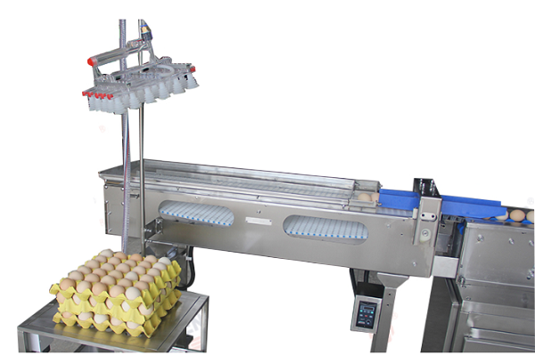 Sanitizer Sprayer Egg Washing Drying Machine With 3000 Eggs/Hour Capacity