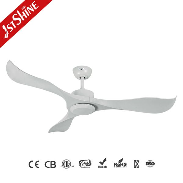 ceiling fan Outdoor Waterproof ABS Plastic Ceiling Fan With Remote Control