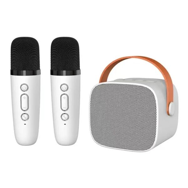 Mini Portable Bluetooth Speaker With Mic Audio Home Family Singing Karaoke Wireless Speaker
