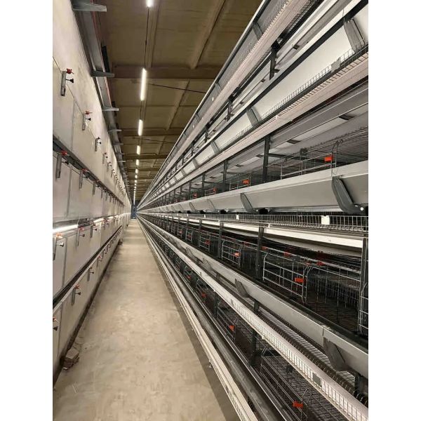 4 Tier H Type Fully Automatic Battery Layer Chicken Cage with Galvanized Steel Poultry Farming Equipment