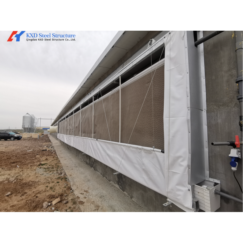 Steel Frame Piggery Shed Construction Long Span Steel Poultry Buildings