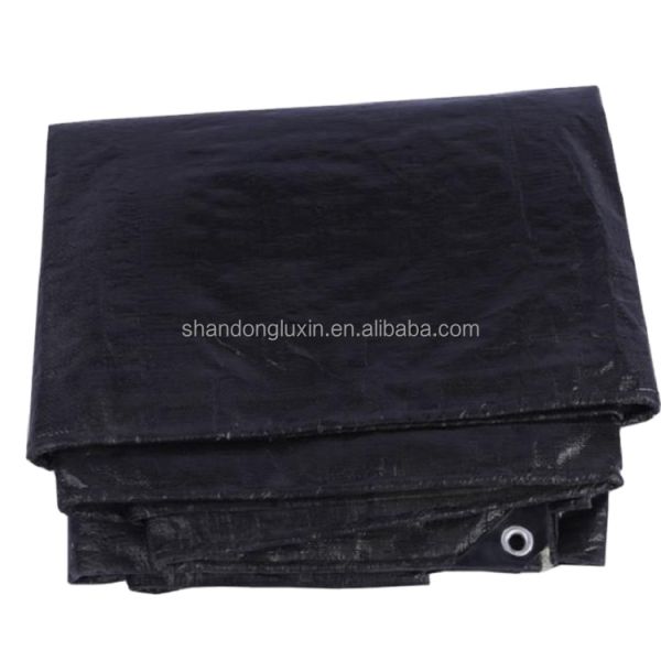 Versatile Woven PE Waterproof Tarpaulin for Outdoor Applications