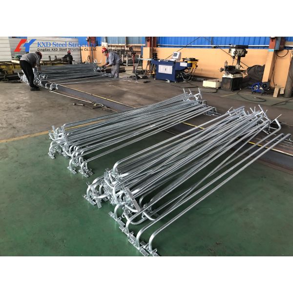 Fast Build Steel Structure Poultry Shed Construction Customized
