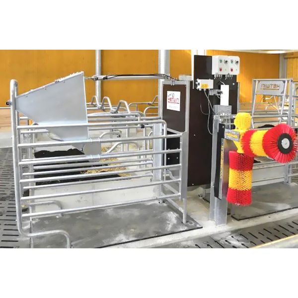 Cowshed Prefabricated with Light Steel Structure Frame and ISO9001 2008/CE/BV Certified