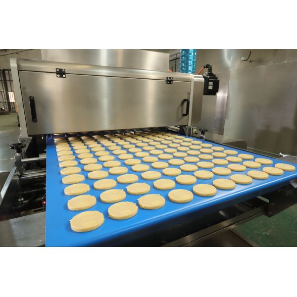 Full Automatic 400kg/h Chocolate Chip Cookie Machine With Tunnel Oven