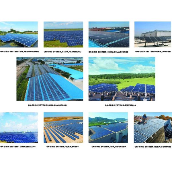 310W Poly PV Solar Panel for Solar Power System