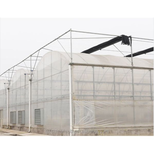 Hot Dip Galvanized Steel Tube Frame Multi Span Agricultural Greenhouse