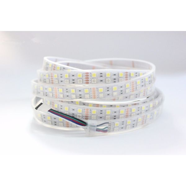 5m / Reel Double Row 24 Volt Rgb Led Strip Warm White Led Flexible Tape Light