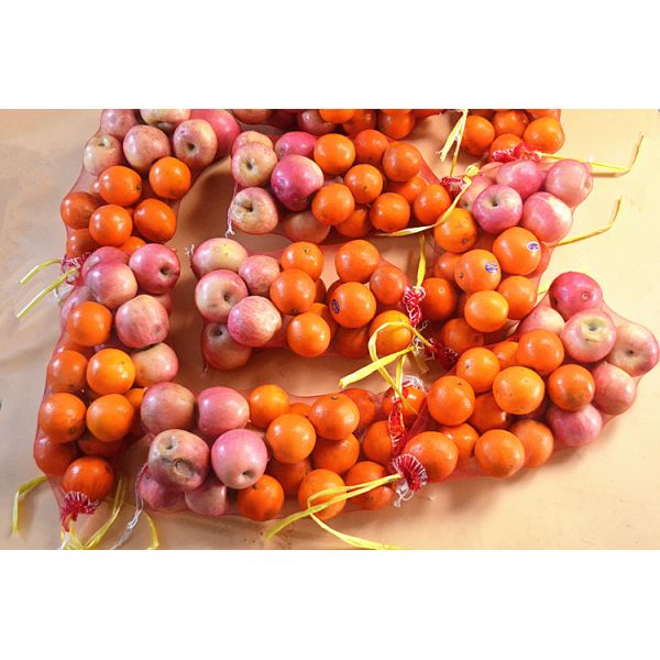 Custom Order Accepted by PE Monofilament Mesh Bag for Tubular Mono Net Bags