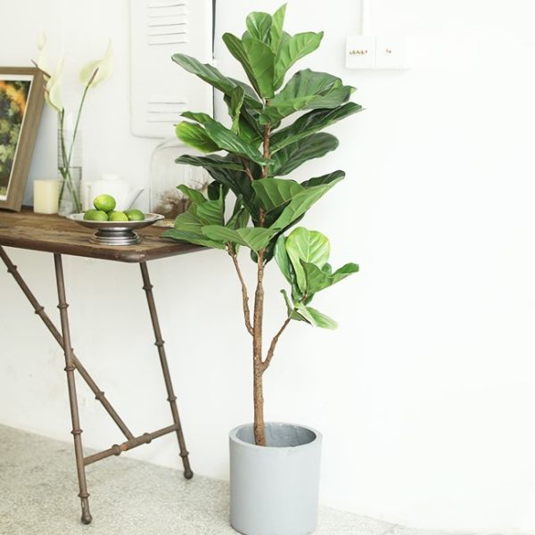 Natural 120cm Height Pandurata Artificial Ficus Tree Landing Plant