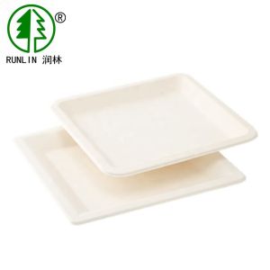 LFGB Rectangular Biodegradable Sugarcane Disposable Plates For Wedding Parties