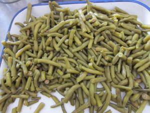 China Canned green beans on sale