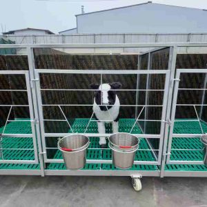 Five-Stall Linked Calf Pen