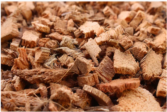 Industrial Grade Coconut Shell Charcoal Columnar Activated Carbon for Aquarium Water Treatment and Chemical Auxiliary Agent