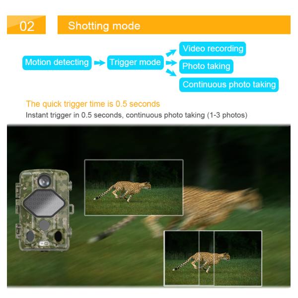 Ip65 Bluetooth Wifi Trail Camera Fast Trigger Time Remote Waterproof Wildlife Camera