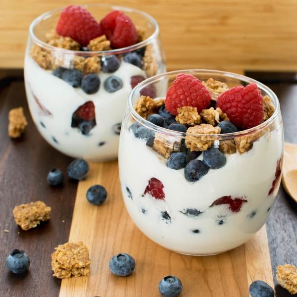 Mellow Delicate Small Yogurt Maker / Economical Non Electric Yogurt Maker