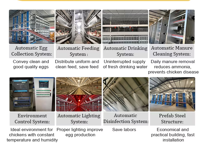 4 Tier H Type Fully Automatic Battery Layer Chicken Cage with Galvanized Steel Poultry Farming Equipment