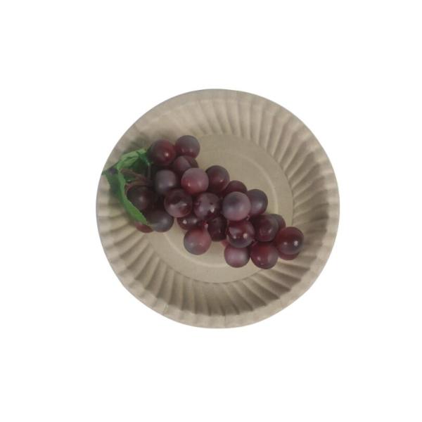 Disposable Biodegradable Party Plates 7" Sugarcane Paper Plates