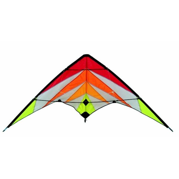Special picture polyester delta stunt kite , sports kite ,easy assemble for people