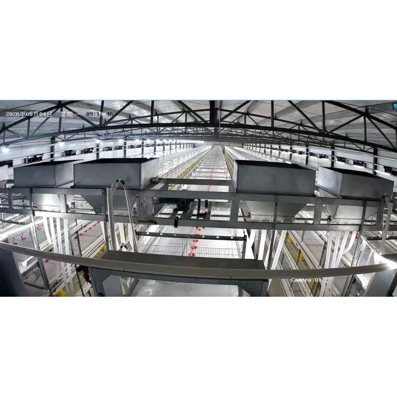 Automatic Metal Cage Steel Structure Broiler Chicken Poultry House
