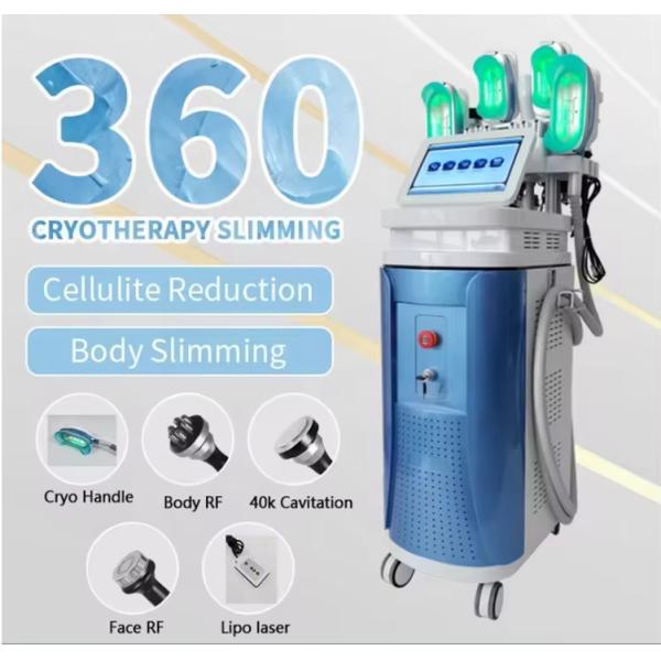 3 Handles Cryolipoliyse Fat Freezing Machine For Double Chine And Body Slimming