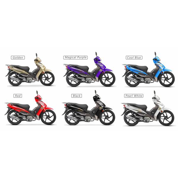 Cub Model 110CC Gas Powered Motorcycle Front Turning Light LCD Speed Meter