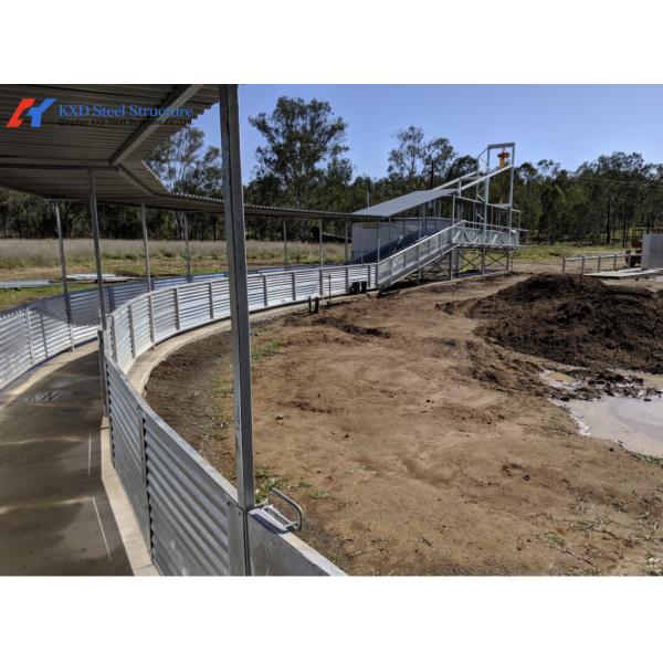 Fast Build Steel Structure Poultry Shed Construction Customized