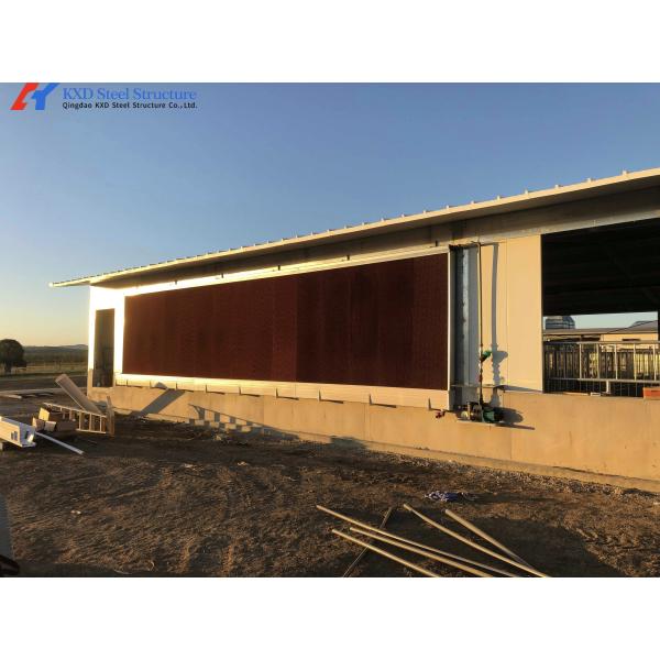 Steel Frame Piggery Shed Construction Long Span Steel Poultry Buildings