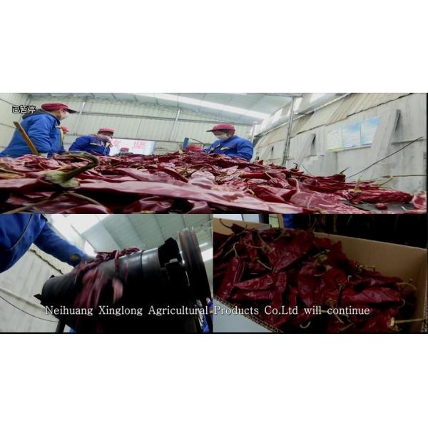 Seasoning Dried Guajillo Chili Peppers Pungent Flavor A Grade