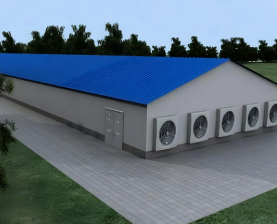 4 Tier H Type Fully Automatic Battery Layer Chicken Cage with Galvanized Steel Poultry Farming Equipment