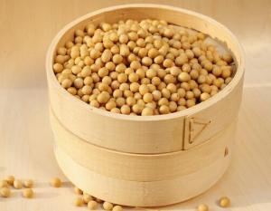 China 98%Soy Lecithin,Soy Lecithin Extract,Soy Lecithin Powder,Soy Extract CAS No.:8002-43-5 on sale