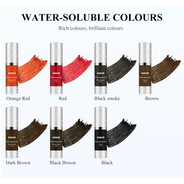 REACH Eyebrow Cosmetics Tattoo Permanent Makeup Pigments Eyeliner Lip Blush Tattoo Inks