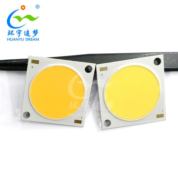 High Power 2828 Chip LED COB 100W For Indoor Outdoor Downlight Streetlig