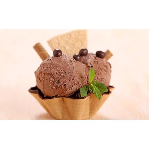 Handmade Flavored Fruit Hand Crank Ice Cream Maker Non Electric Juice Machine