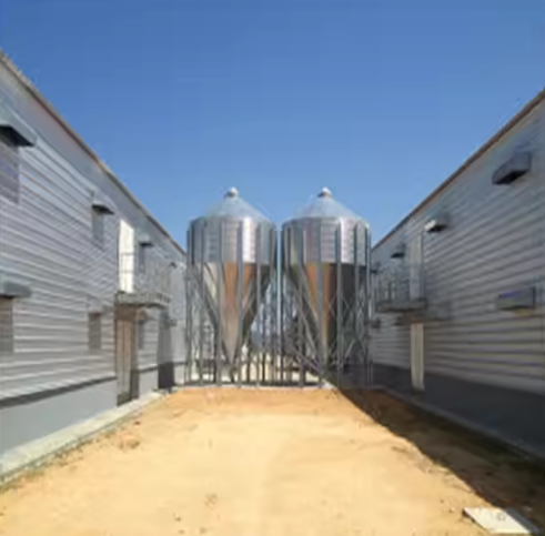 XGZ Steel Structure Poultry House Customized Size Farm Steel Structures Custom Colors
